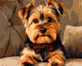 DIAMOND PAINTING I KLEINER GENTLEMAN MIT FLIEGE