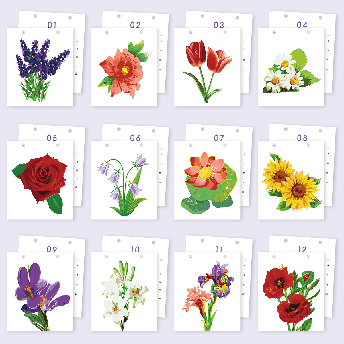 Calendrier Peinture par numéros 2027 | Magie florale