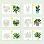 Calendrier Peinture par numéros 2027 I Plantes d'intérieur
