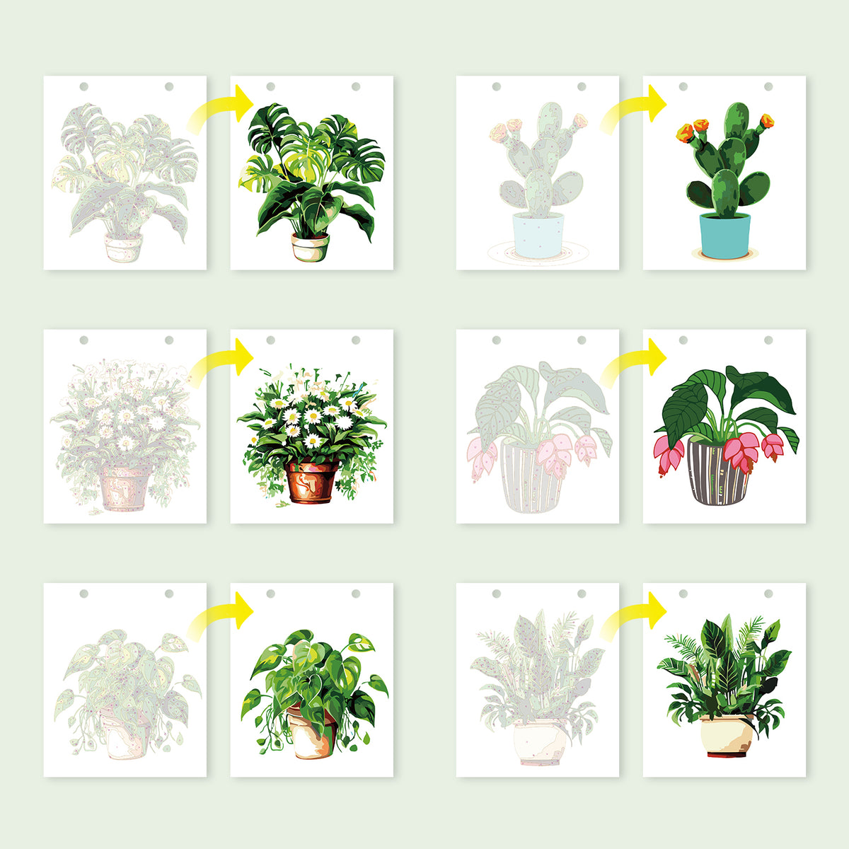 Calendrier Peinture par numéros 2027 I Plantes d'intérieur