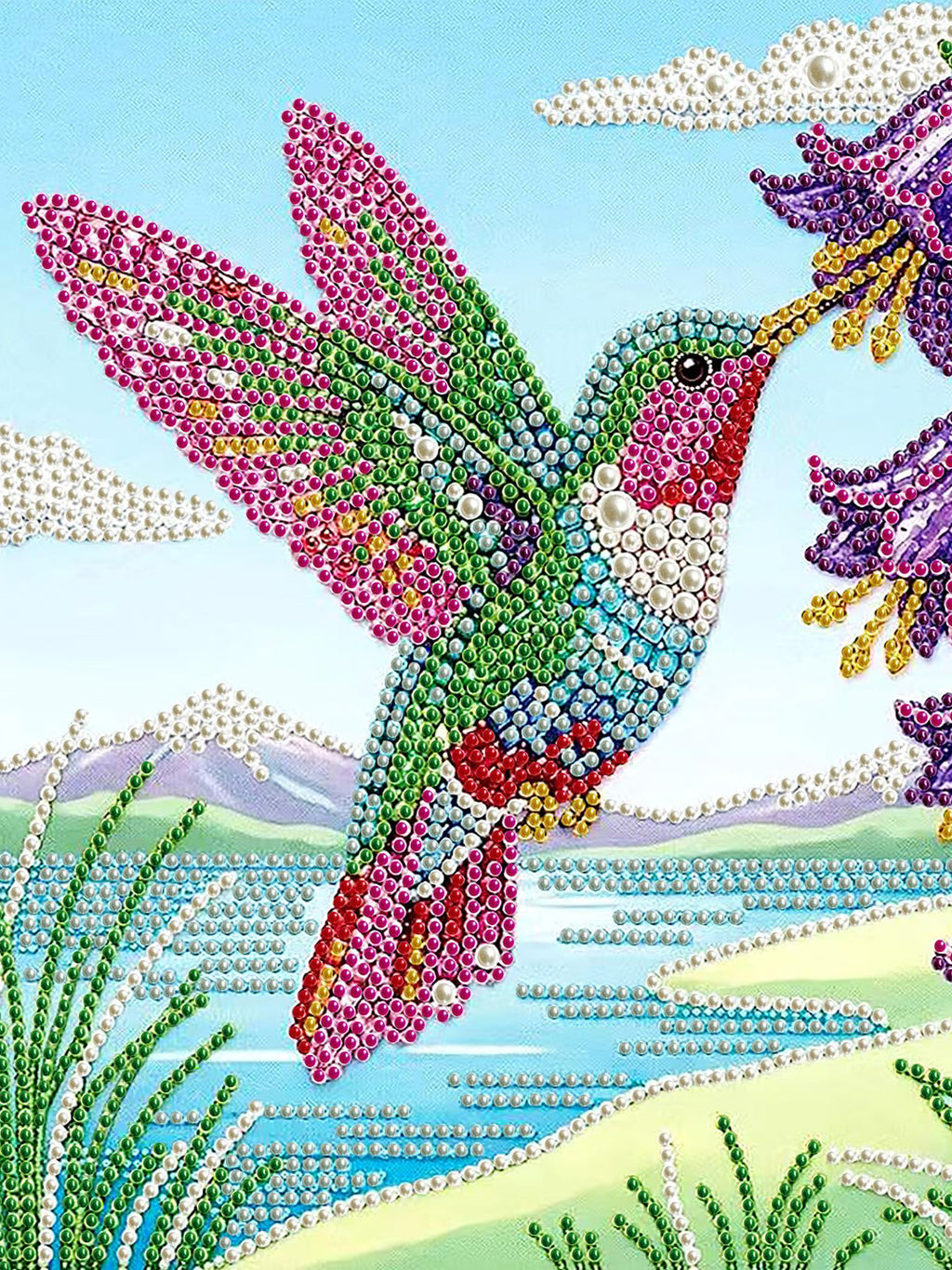 PEARL PAINTING I KOLIBRI IM FARBENZAUBER